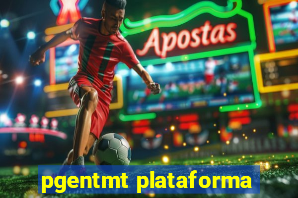 pgentmt plataforma